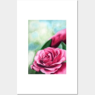 Pink rose Posters and Art